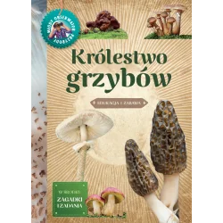 Super okazja MŁODY OBSERWATOR PRZYRODY - KRÓLESTWO GRZYBÓW