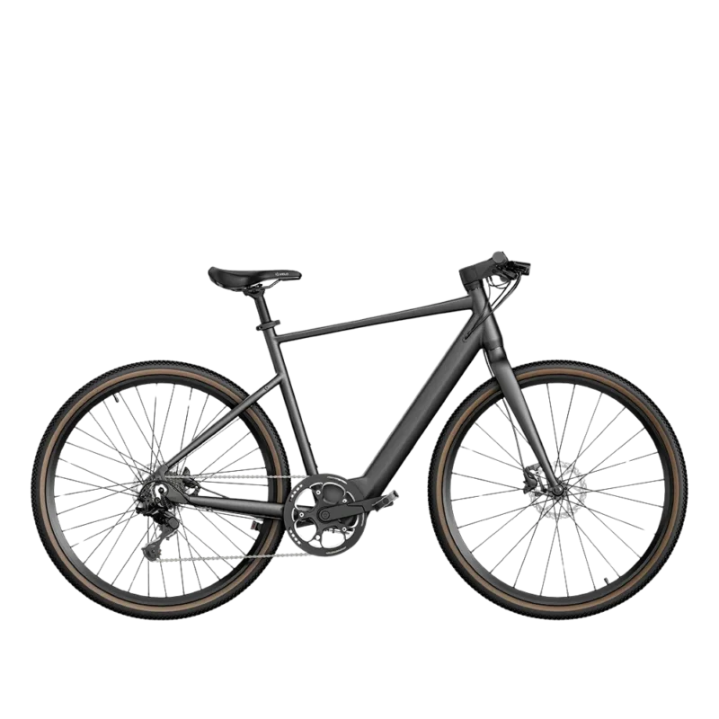 Rower elektryczny gravel Fiido C21 Kup online