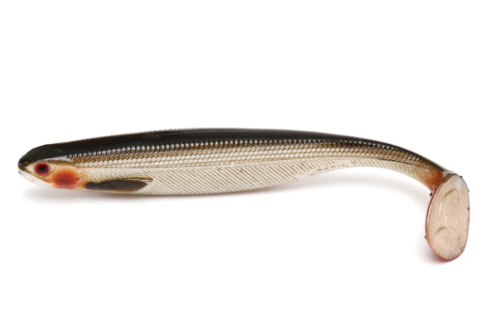 Oferta GUMA WESTIN SHAD TEEZ SLIM - LIVELY ROACH