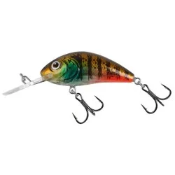 Ograniczona ilość Wobler Salmo Rattlin Hornet Floating 5,5cm/10,5g, Hot Gill Clear