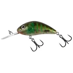 Popularny Wobler Salmo Rattlin Hornet Floating 5,5cm/10,5g, Green Gill Clear
