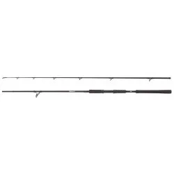 Oferta Wędka Abu Garcia Beast Pike 842XH Spinning - 2,54m 30-110g