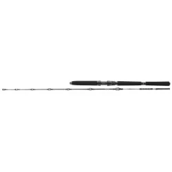 Darmowy zwrot Wędka Daiwa BG Deep Sea - 1,75m 100-300g