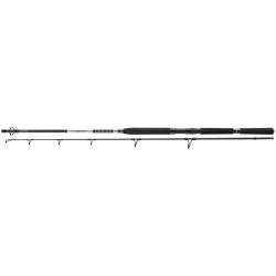 Wędka Daiwa BG Popper - 2,30m 40-150g Promocja
