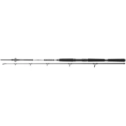 Wędka Daiwa BG Offshore Boat - 2,40m 150-400g Hit sprzedaży