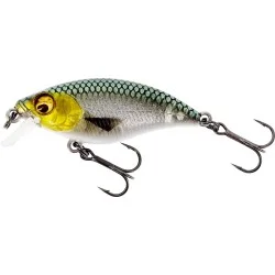 Wobler Westin BuzzBite SR Crankbait Low Floating 5cm/6g, 3D Headlight Tani
